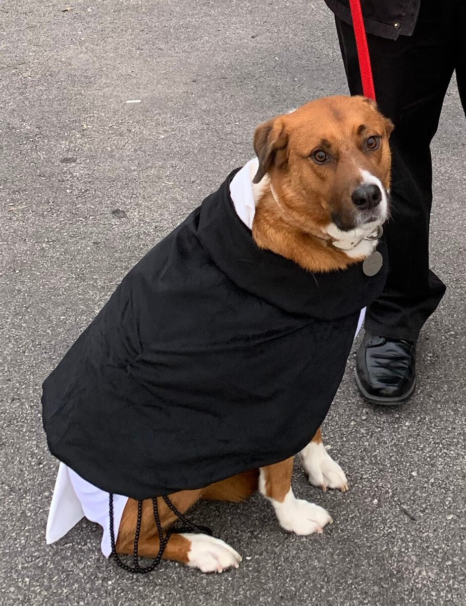 Dominic, a mixed-breed dog belonging to Father Dylan Schrader, pastor of St. Joseph Parish in Westphalia and St. Anthony of Padua Parish in Folk, is dressed as St. Dominic, including fake rosary beads, on Halloween at St. Joseph School.